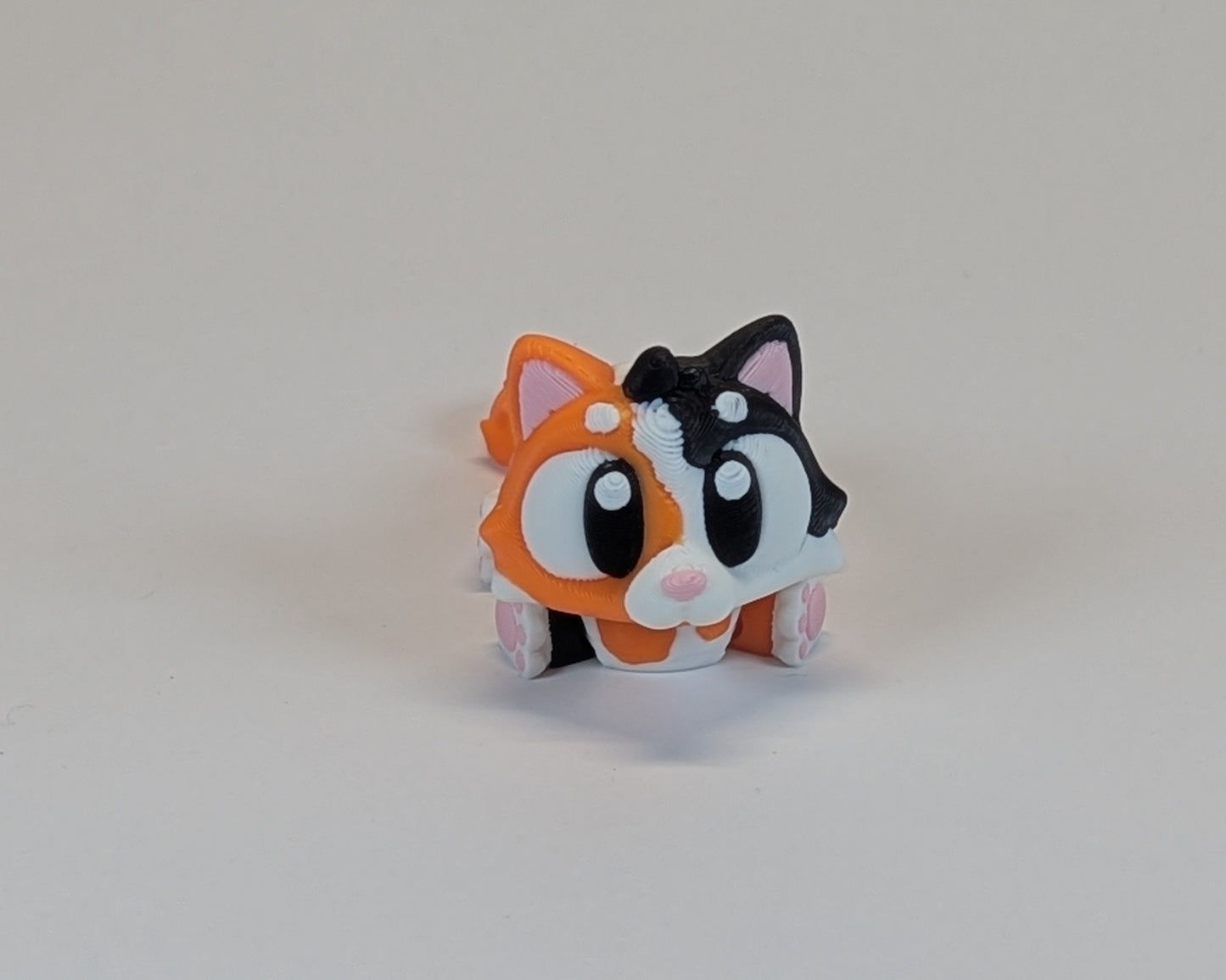 Calico Cat Cute Critter Looking at you