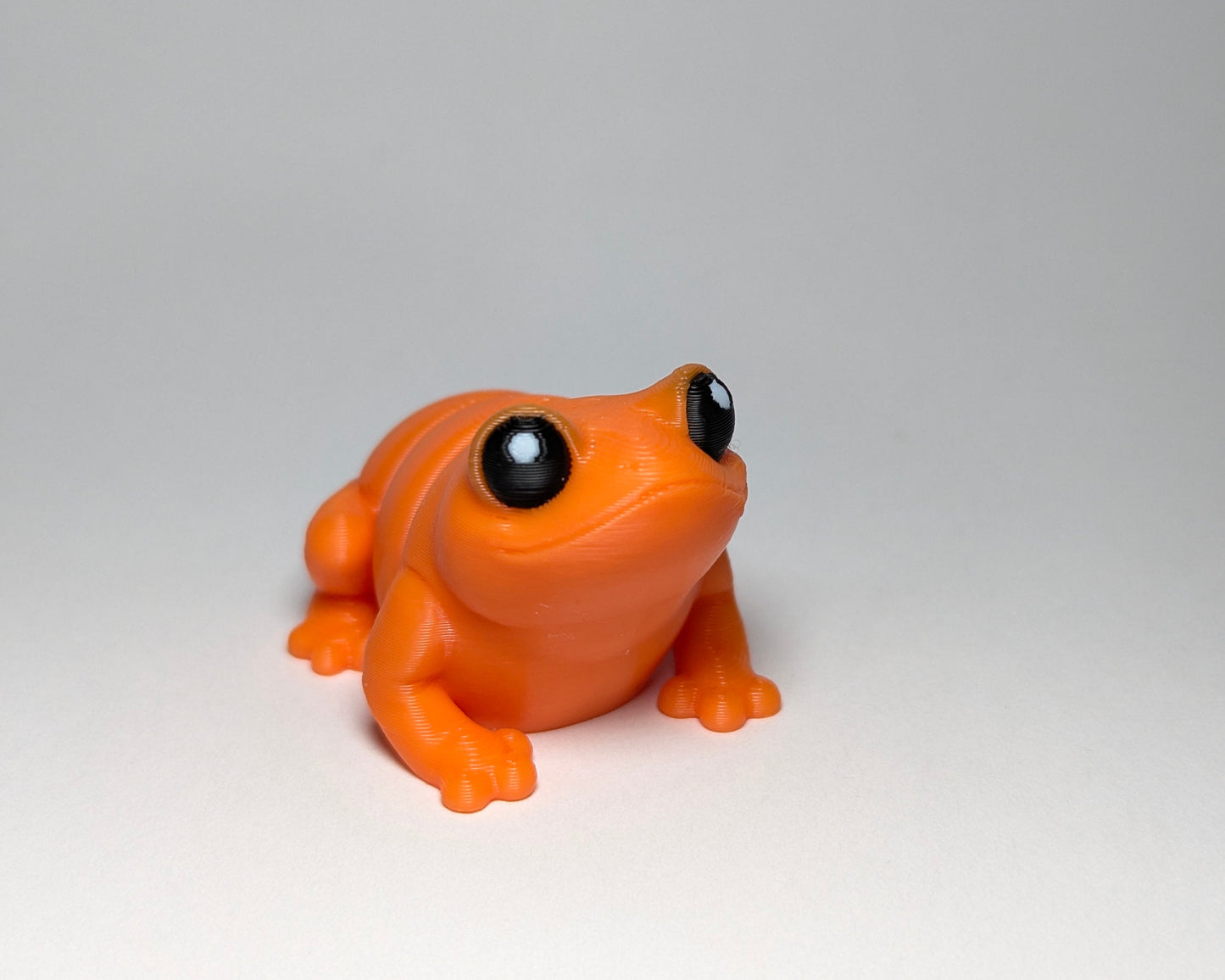 Frog Jiggle Pet Mini Flexi Animal Looking forward