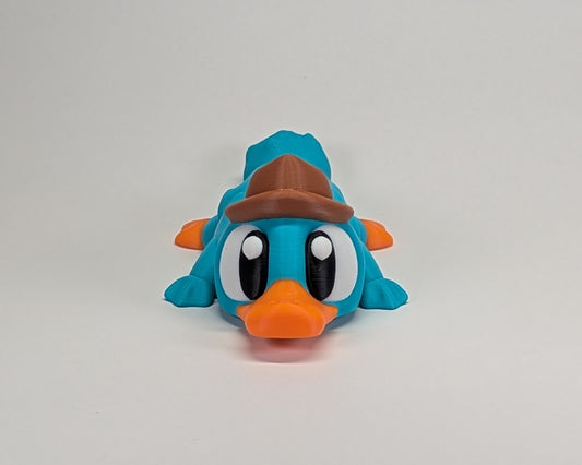Agent P - Platypus laying down looking at camera