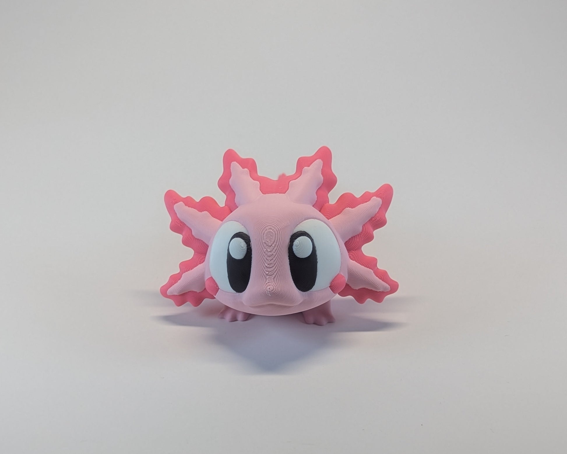 Axolotl Signature Creature Facing Camera