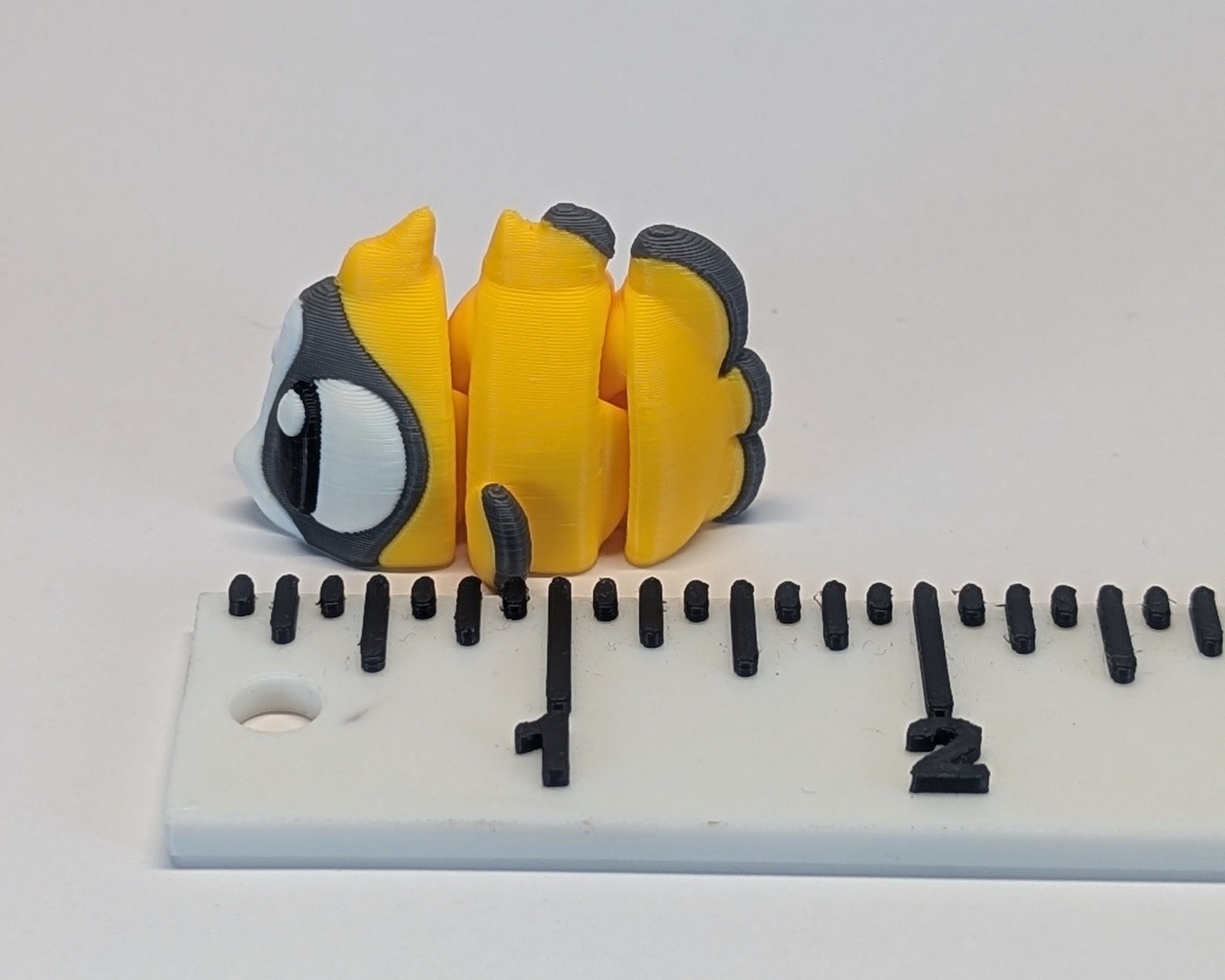 Butterfly Fish Cute Critter Length