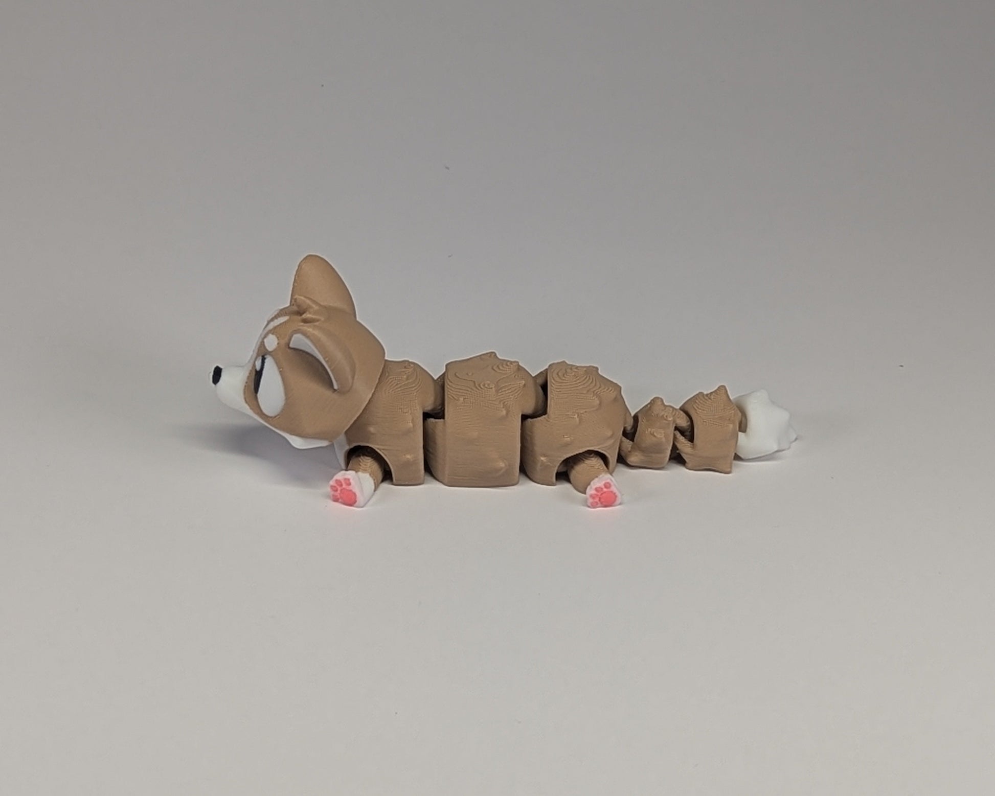 Corgi Cute Critter laying down side View With Paws
