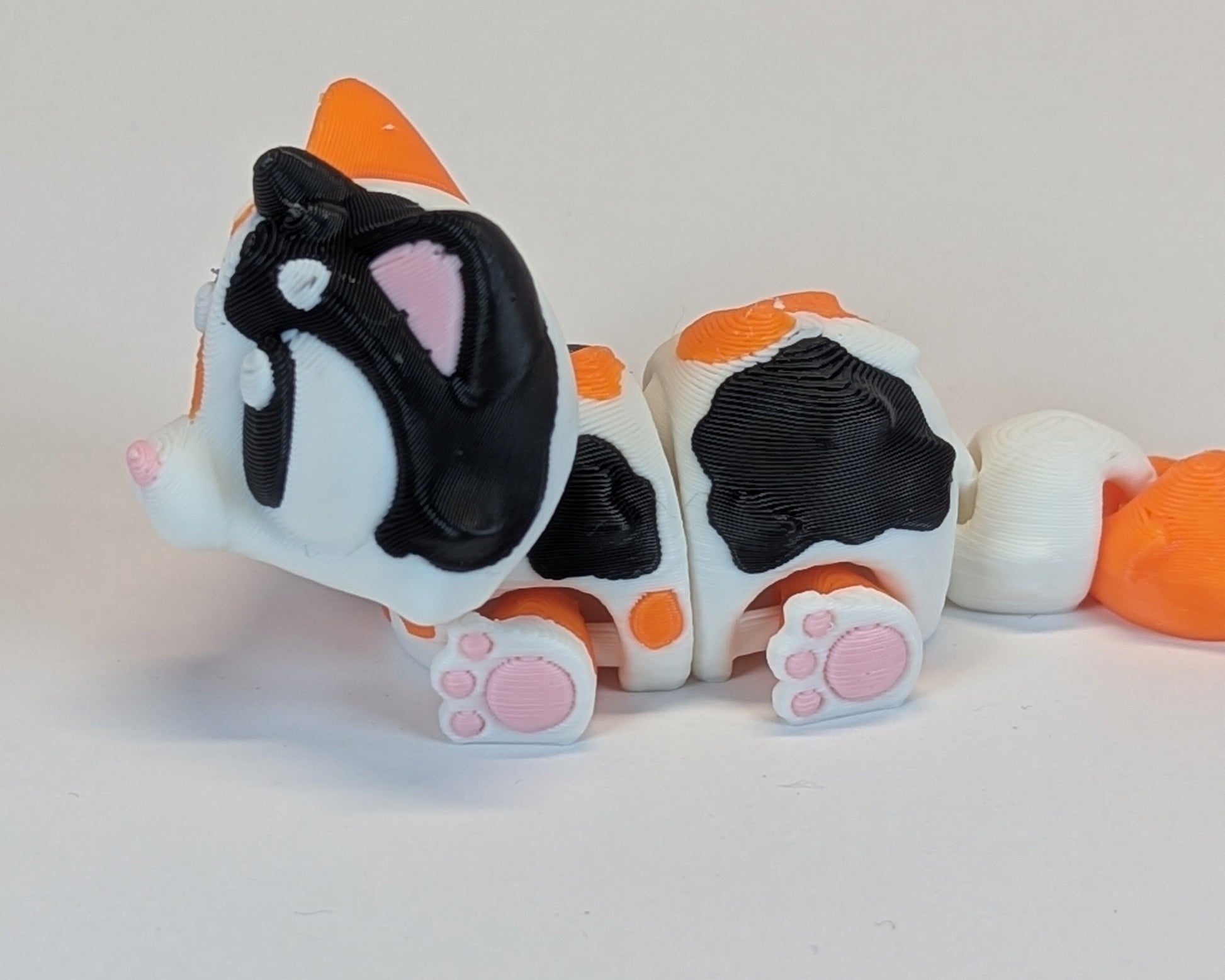 Calico Cat Cute Critter Pink Paws cloesup