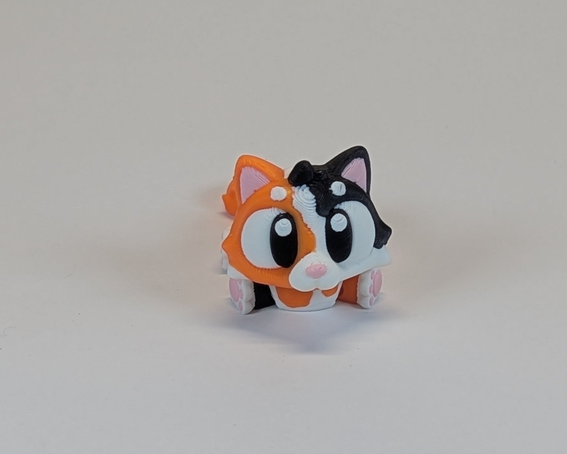 Calico Cat Cute Critter Looking at you