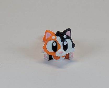 Calico Cat Cute Critter Looking at you