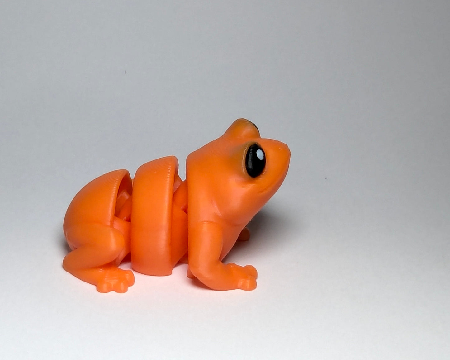 Frog Jiggle Pet Mini Flexi Animal Looking Right