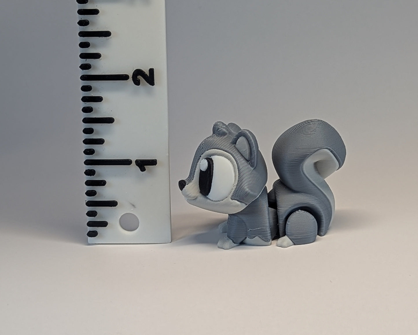Grey Squirrel Cute Critter measure height