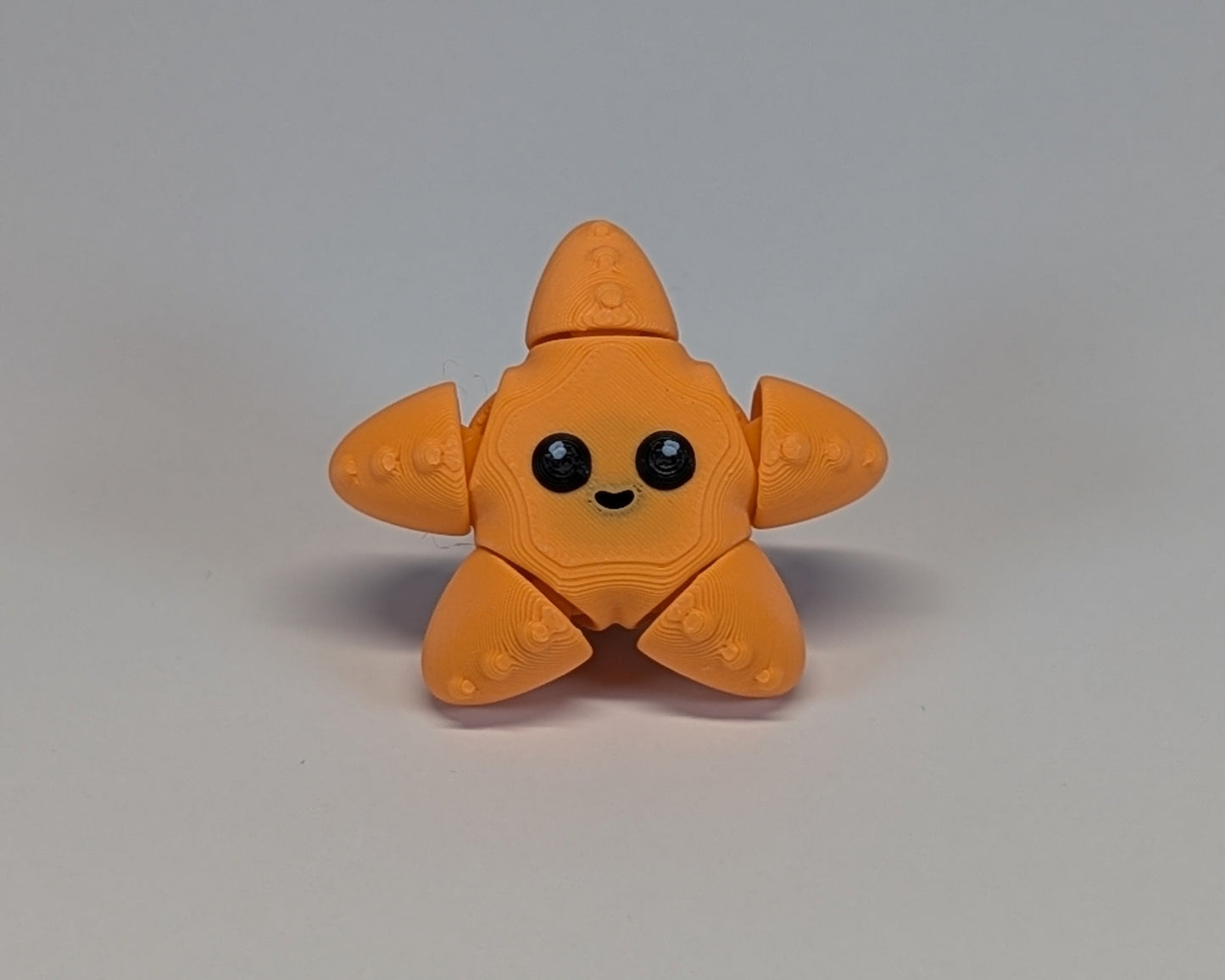 Jiggle Pet - Starfish Facing Camera