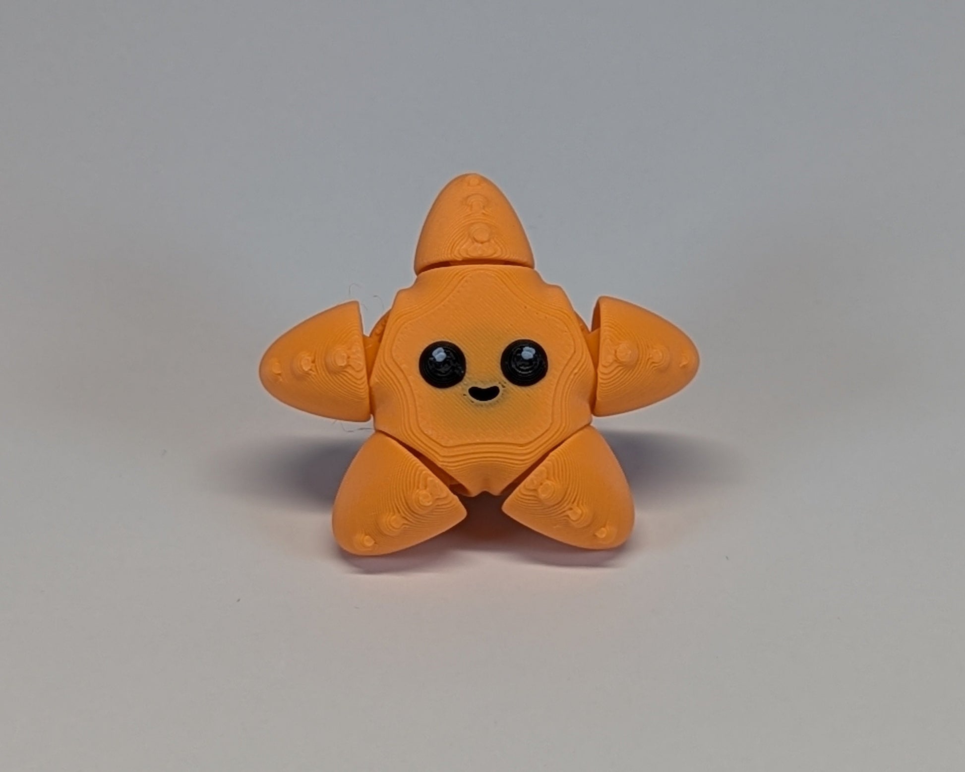Jiggle Pet - Starfish Facing Camera