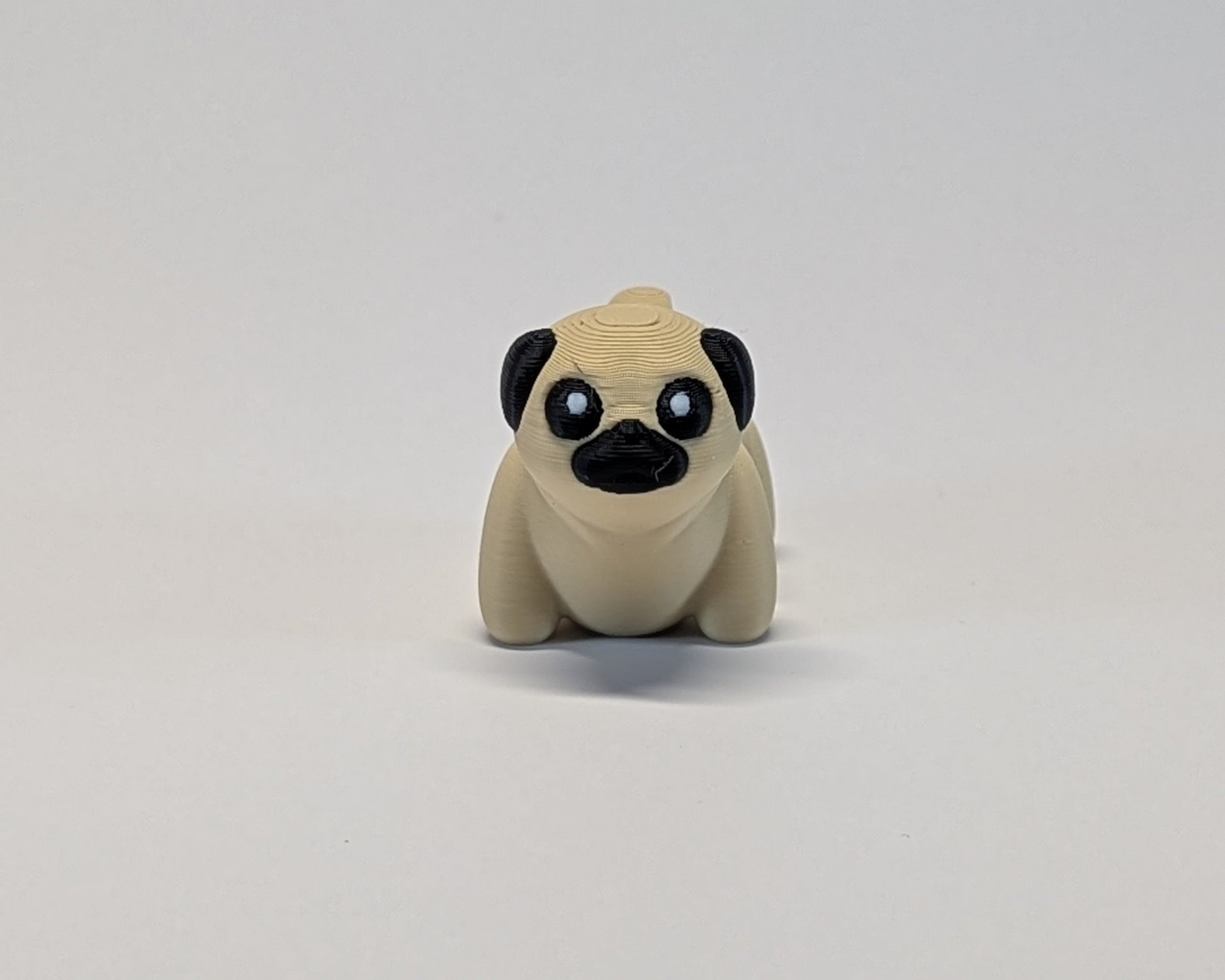 Jiggle Pet Pug Front View