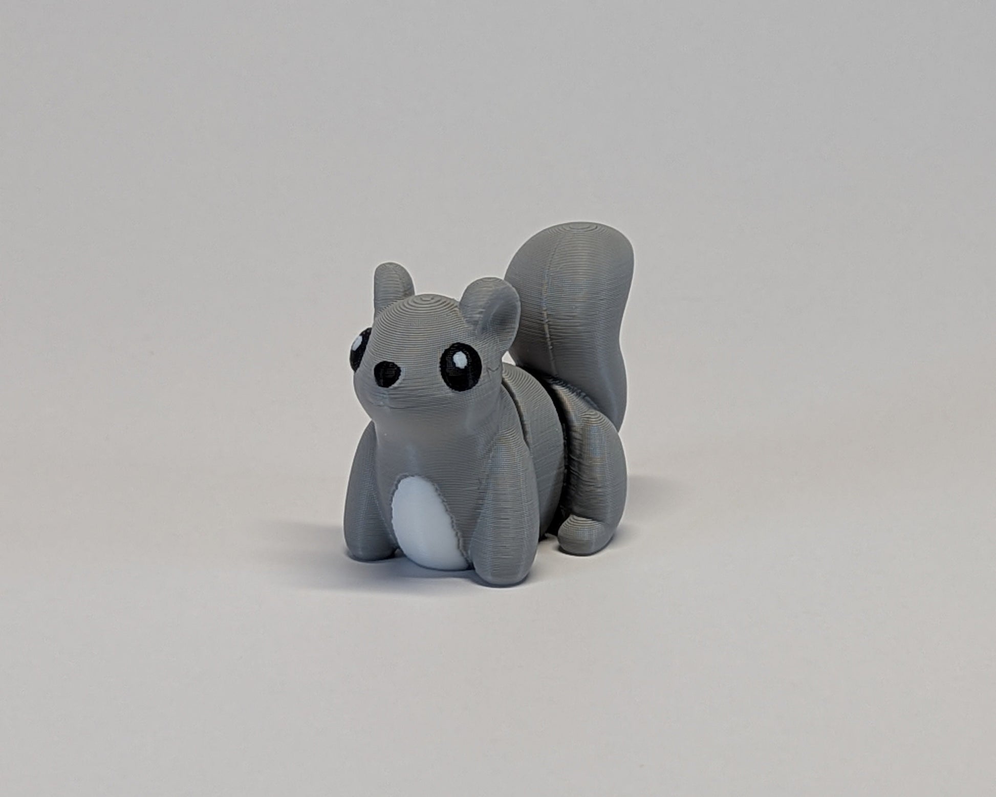 Jiggle Pet Squirrel Front Looking At Camera