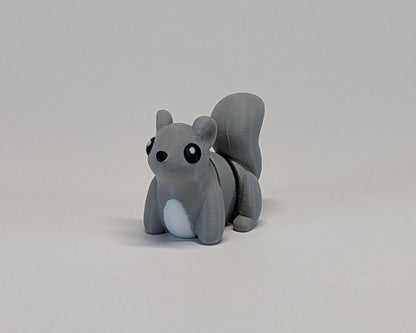 Jiggle Pet Squirrel Front Looking At Camera
