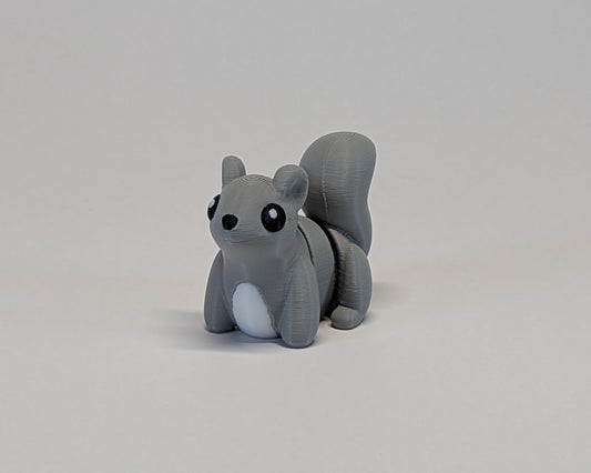 Jiggle Pet Squirrel Front Looking At Camera