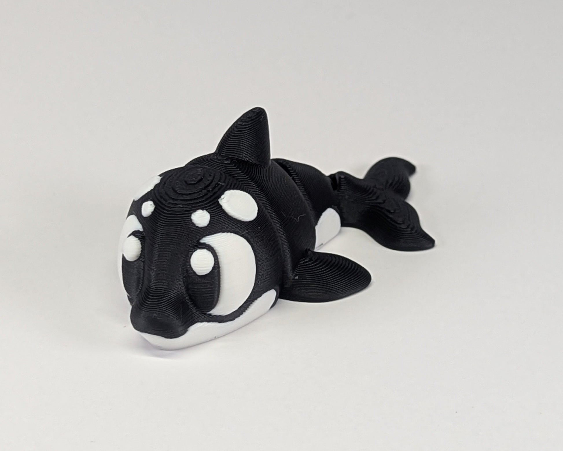Killer Whale Cute Critter Laying Down View