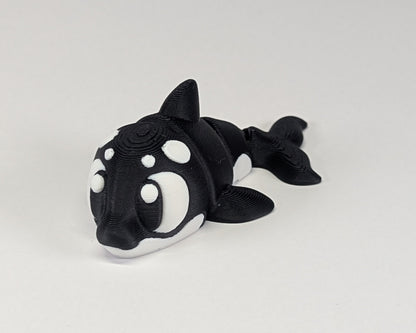 Killer Whale Cute Critter Laying Down View
