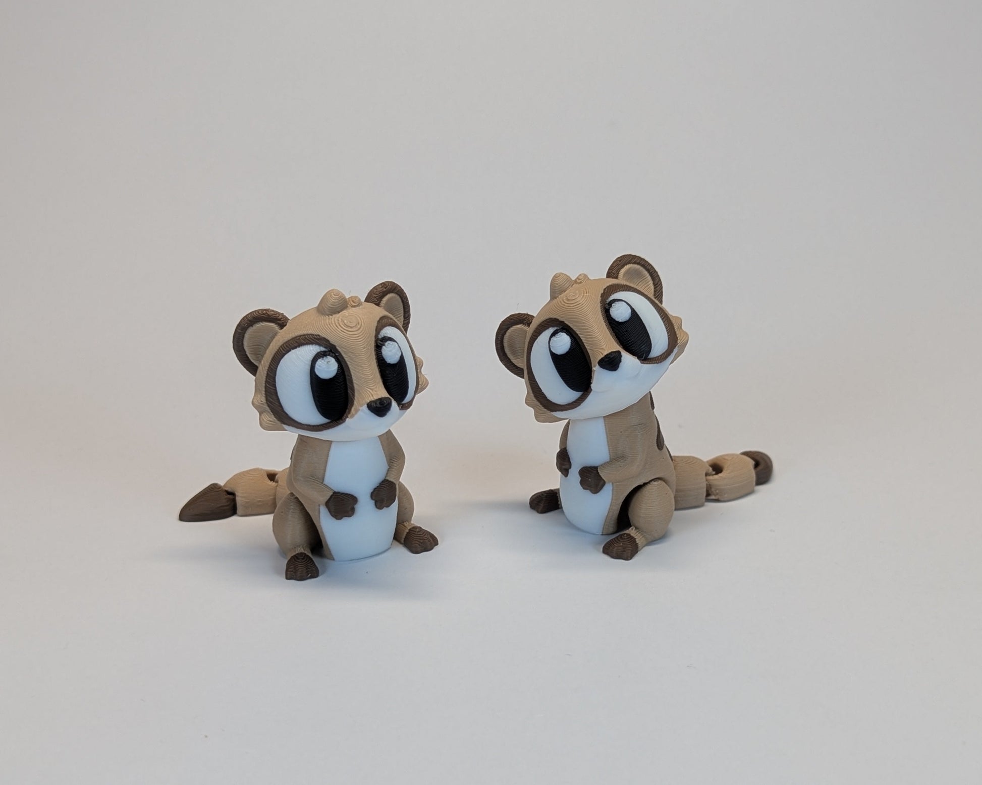 A pair of Meerkat cute critters looking at you