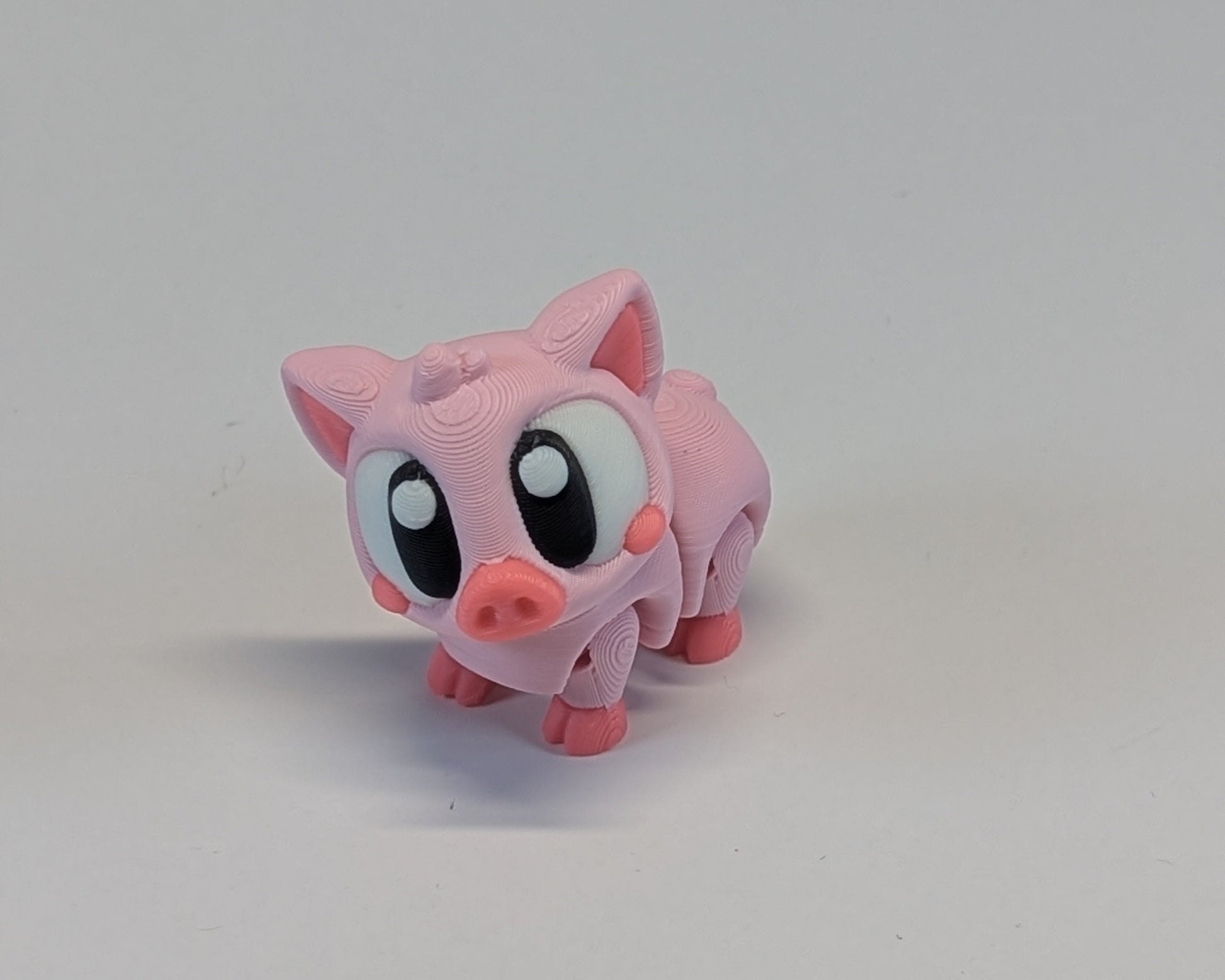 Pig Cute Critter Looking Straight