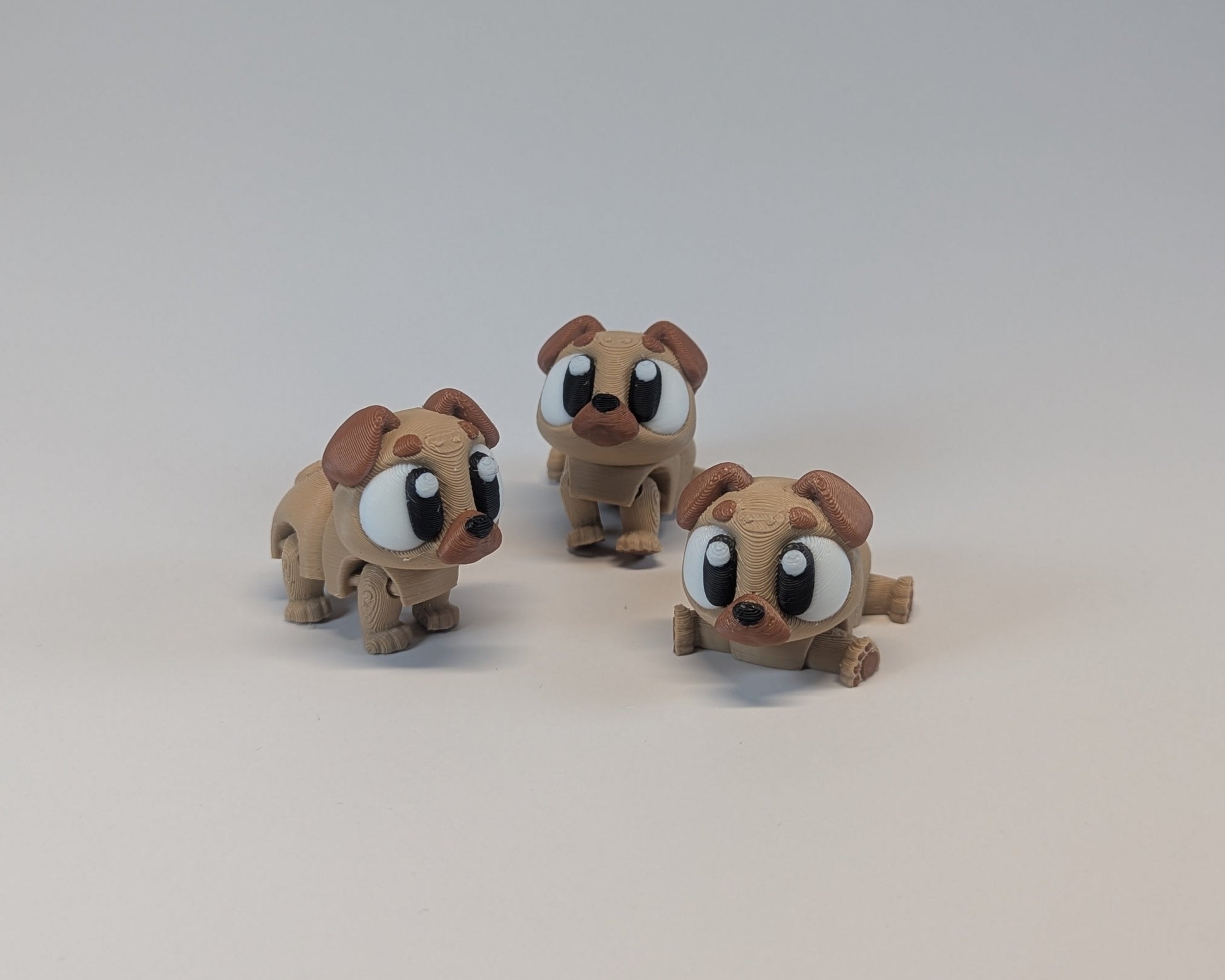 Pack of Pugs -  Cute Critters