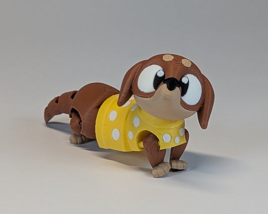 Sausage Dog Cute Critter Looking Right Facing Camera Close Up
